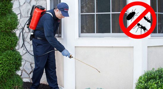 Mudanya Fare İlaçlama böcek ilaçlama ve haşere kontrolü — ilaclama-tr.com